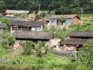 香菸箐村 香菸箐村