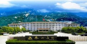 泰山集團股份有限公司 泰山集團股份有限公司