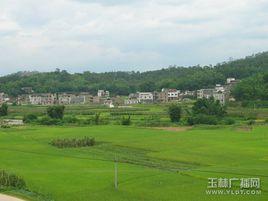 紅石村[四川省彭山縣謝家鎮紅石村]