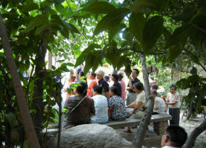 草陽社區 草陽社區