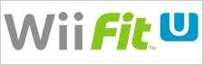 wii fit wii fit