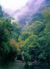 溪源仙境 溪源仙境