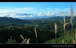 南溪鎮[四川省宜賓市南溪區]