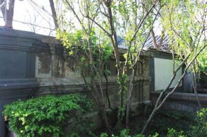 前公用胡同十五號四合院 前公用胡同十五號四合院