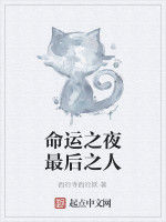 命運之夜最後之人 命運之夜最後之人