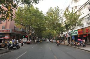 朝陽路街道 朝陽路街道