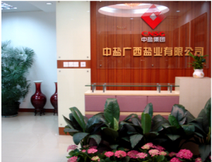 中鹽廣西鹽業有限公司