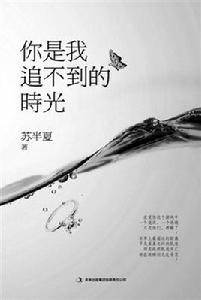 你是我追不到的時光