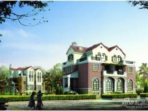 金色威尼斯 金色威尼斯