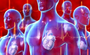 心臟年齡 心臟年齡