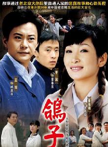 鴿子哨[2009年付寧導演大陸電視劇]