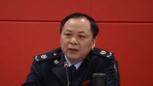 方誌平[湖南省地方稅務局副局長]