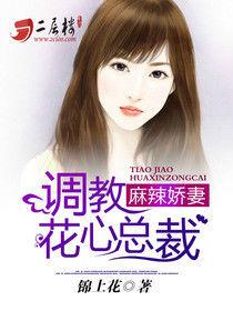 麻辣嬌妻:調教花心總裁 麻辣嬌妻:調教花心總裁