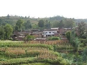 劉萬陀村 劉萬陀村