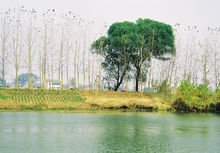 亭湖區自然風景