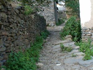 沙樂舊村 沙樂舊村