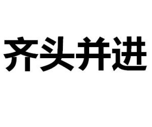 齊頭並進