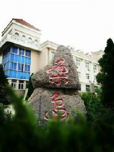 桑島[中國山東省煙臺市島嶼]