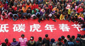 低碳虎年