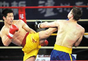 國際武術搏擊爭霸賽