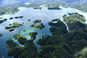 四莊鄉紙棚村 四莊鄉紙棚村