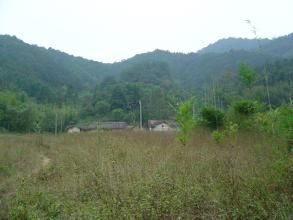 南崮山村 南崮山村