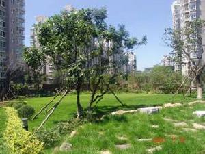 華匯尚領世家 華匯尚領世家