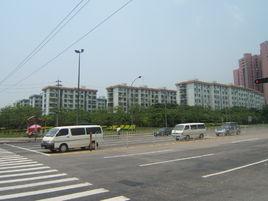 蓮花一村 蓮花一村