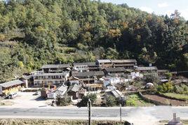 丫口村[新平縣平掌鄉丫口村民委員會下轄村]