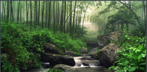 井岡山風景旅遊區