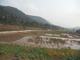 新廟鄉[四川南充市嘉陵區新廟鄉]