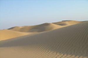 毛烏素沙漠圖冊