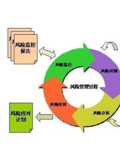 項目風險識別 項目風險識別
