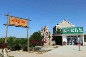 小龍生態園 小龍生態園