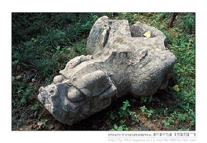 南京“百慕達”