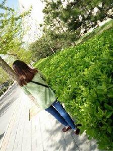 春天怎么還不來 春天怎么還不來