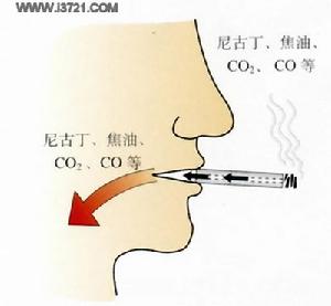 （圖）煙的有毒物質