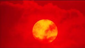 丹尼爾·布爾斯廷