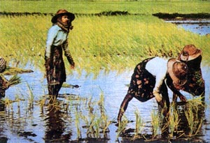 《馬克斯》 《馬克斯》