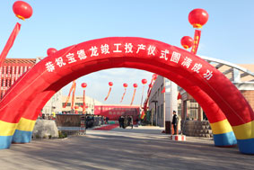 山東寶德龍健身器材有限公司 山東寶德龍健身器材有限公司