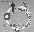 節約基因 節約基因