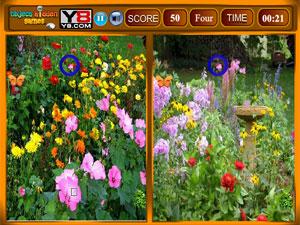 花兒找相同 花兒找相同