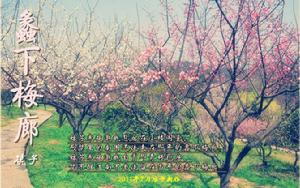 蠡下梅廊 蠡下梅廊