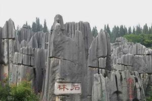 龍馬石林 龍馬石林