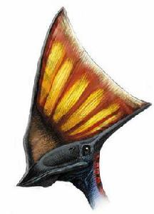 古神翼龍 古神翼龍