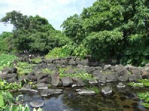 海南定安縣久溫塘冷泉 海南定安縣久溫塘冷泉