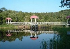 鐵農園藝園 鐵農園藝園