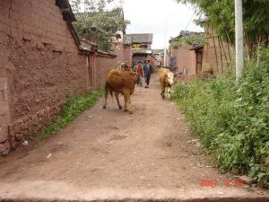 馮姓廠村 馮姓廠村