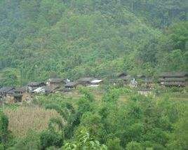 老馬寨自然村 老馬寨自然村