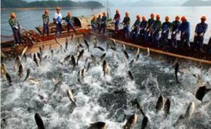 紐芬蘭漁場 紐芬蘭漁場